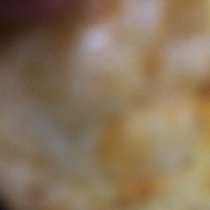 Meet your Posher, Manisha